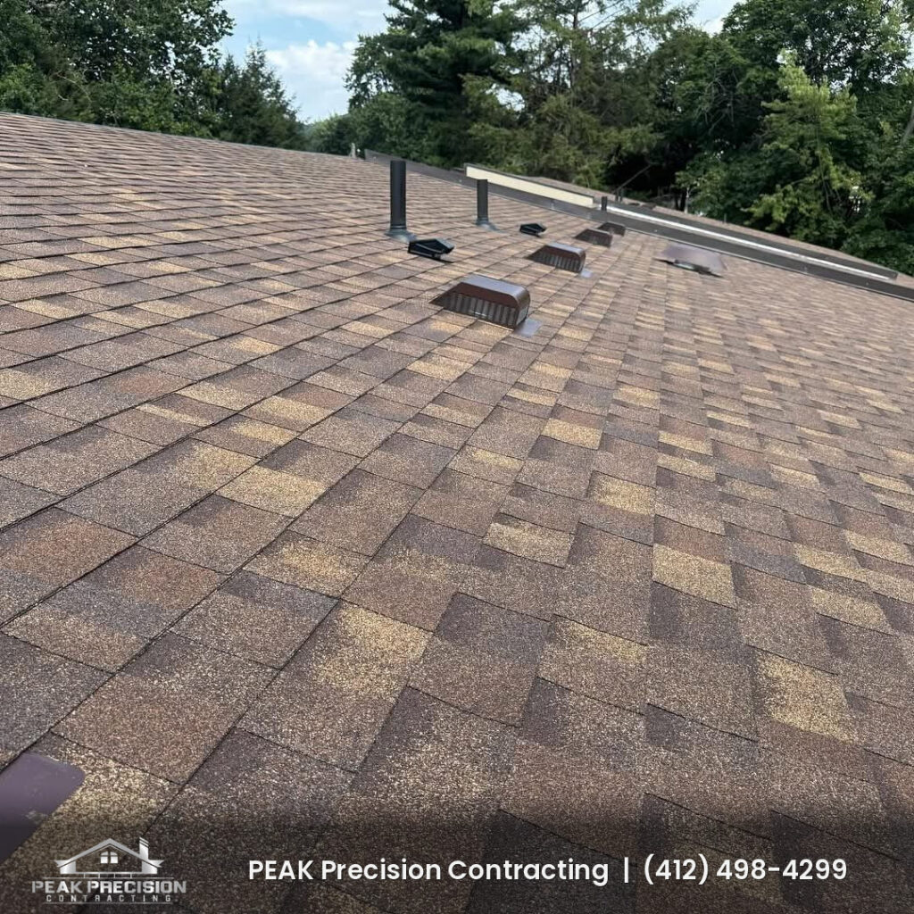 New architectural shingle roof with box vents and plumbing vent pipes on a multi-unit building, completed by Peak Precision Contracting